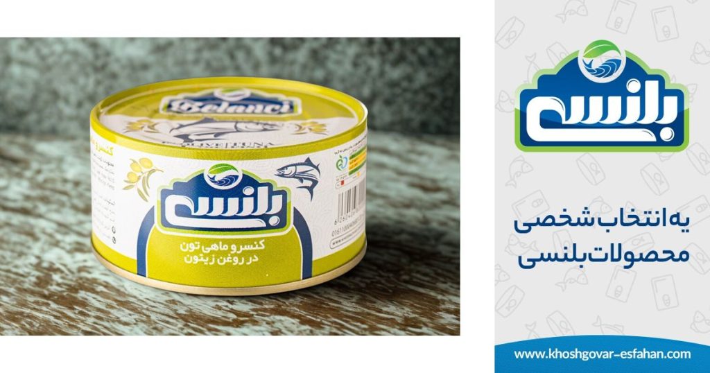 استانداردهای تولید در محصولات بلنسی