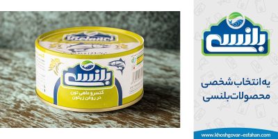 استانداردهای تولید در محصولات بلنسی